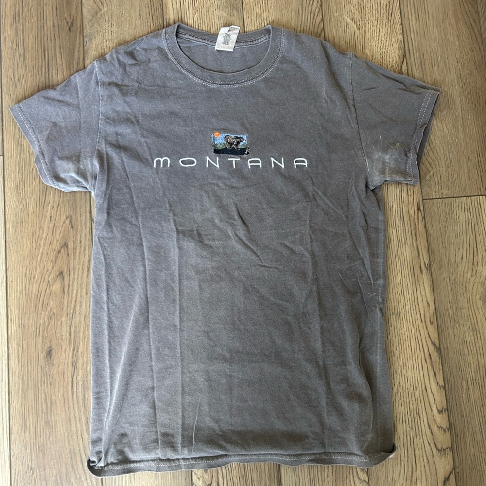 Gray Men's T-Shirt